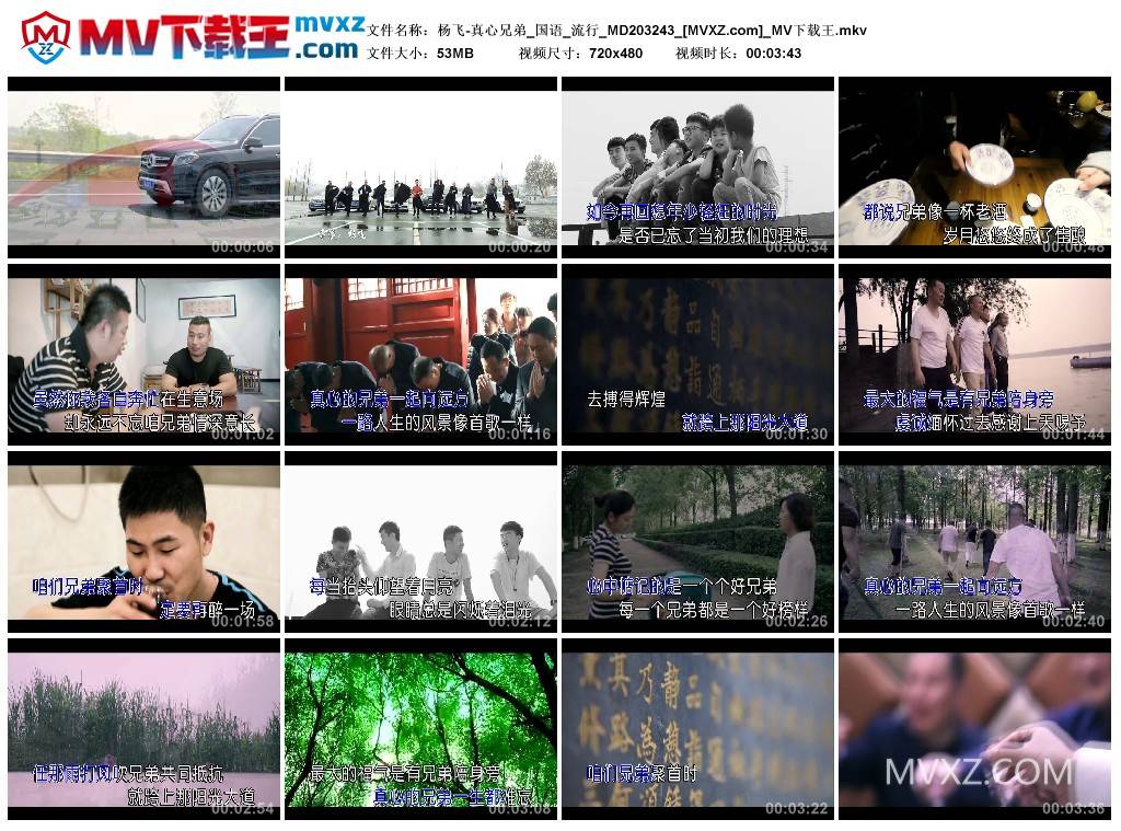 杨飞-真心兄弟_国语_流行_MD203243
